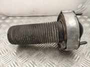 Stoßdämpferlager vorne links VW TOUAREG (7P5) 3.0 V6 TDI 7P0412295C