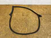 Türdichtungsgummi vorne links AUDI A5 Cabrio (F57) 2.0 TFSI 8W8831708