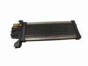 Elektrischer Schulterschulterkühler AUDI A4 Avant (8ED, B7) 2.5 TDI 8E1819011