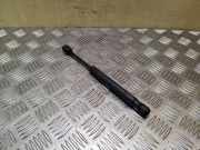 Heckklappe Gasdruckfeder links