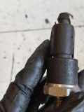 Kraftstoffdrucksensor RENAULT KANGOO (KC0/1_) 1.5 dCi (KC08, KC09) 55pp0301