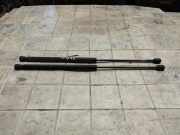 Heckklappe Gasdruckfeder links