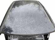 Dach mit Sonnendachausschnitt Lexus RX 4 (L2) 1001010000000