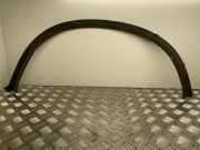 Blende Kotflügel links hinten BMW X6 (E71, E72) 7176329