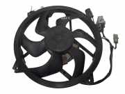 Kühlmodul Peugeot 407 ()