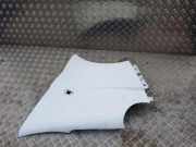 Kotflügel vorne links NISSAN PRIMASTAR Furgon (X83) 2.0 dCi 115