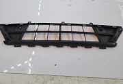 Gitter vorne unten FORD TRANSIT CUSTOM 2.2 TDCi BK2117K946AA