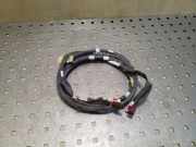 Kabelbaum RENAULT KADJAR (HA_, HL_) 1.5 dCi 110 282438724R