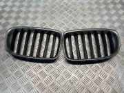 Vorderer oberer Gitter BMW X1 (E84) xDrive 20 d 2993307