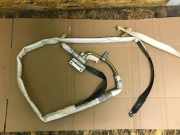 SRS Modul Dach links BMW X5 (E53) 3.0 d 30317952R