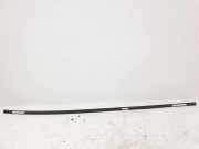 Dachleiste links NISSAN QASHQAI / QASHQAI +2 I (J10, JJ10) 1.6 dCi 4WD