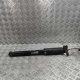 Stoßdämpfer hinten rechts ALFA ROMEO STELVIO (949_) 2.9 Q4 50553943