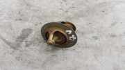 Thermostat Chevrolet Captiva (C100, C140)