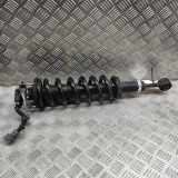 Stoßdämpfersatz Vorderachse Toyota Land Cruiser Prado (J15) 4851060250