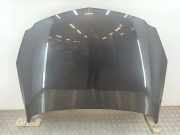 Motorhaube Opel Insignia A (G09)