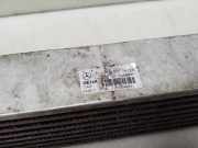 Ladeluftkühler Mercedes-Benz A-Klasse (W169) A1695000900