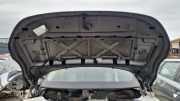 Motorhaube Land Rover Range Rover Evoque I (L538)
