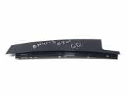 Türpolsterverkleidung hinten rechts BMW 3 Touring (E91) 320 d