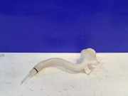 Wischwassertankhals VOLVO XC90 II T6 AWD 31349848 31349387