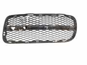 Kühlergrill unten VW Touareg I (7L)