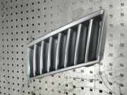 Vorderer oberer Gitter RENAULT VEL SATIS (BJ0_) 3.0 dCi (BJ0S) 8061EMP