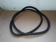 Türgummi links vorne VW Passat B7 (362) 3C4867911B