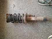 Stoßdämpfer vorne rechts VW POLO (AW1, BZ1, AE1) 1.6 TDI 6Q0413031bn