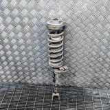 Stoßdämpfer vorne rechts BMW 5 Gran Turismo (F07) 530 d 6795082 10541314