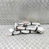 SRS Modul Dach links AUDI A8 D4 (4H_) 3.0 TDI quattro 4H0880741F