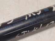 Rear Windshield Spoiler PEUGEOT 407 Coupe (6C_) 2.2 16V