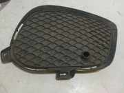 Gitter vorne unten MERCEDES-BENZ GLE (W166) 250 d 4-matic (166.004) 7292AMGS