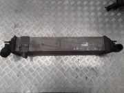 Ladeluftkühler RENAULT LAGUNA Coupe (DT0/1) 2.0 dCi (DT01, DT09, DT12, DT1D) 144960001R M4925005