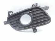 Nebelscheinwerferverkleidung MERCEDES-BENZ A (W169) A 180 CDI (169.007, 169.307) A1698850622