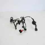 Türverkabelung hinten links AUDI A6 Avant (4F5, C6) 2.0 TDI 4F1971687A