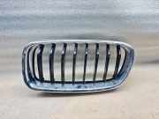 Gitter Grill vorne links BMW 3 (F30, F80) 320 d 51137255411