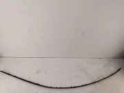 Dachleiste links BMW 7 (G11, G12) 740 d, Ld xDrive 8500115