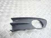 Gitter vorne unten RENAULT LAGUNA II (BG0/1_) 2.2 dCi (BG0F) 000009745