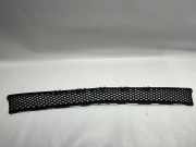 Gitter vorne unten MERCEDES-BENZ E (W213) E 220 d (213.004) A2138850622