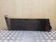 Ladeluftkühler RENAULT SCÉNIC II (JM0/1_) 1.9 dCi (JM0G, JM12, JM1G, JM2C) 160130200F01 8200115540
