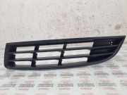Kühlergrill unten VW Passat B6 (3C2)