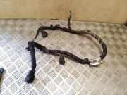 Kabelbaum FORD TRANSIT CONNECT (P65_, P70_, P80_) 1.8 TDCi DV6T3C221BD