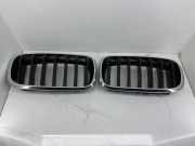 Vorderer oberer Gitter BMW X5 (F15, F85) xDrive 30 d 7316076