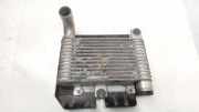 Ladeluftkühler TOYOTA YARIS (_P9_) 1.4 D-4D (NLP90_)