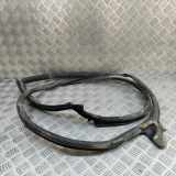 Türgummi links hinten Audi Q8 (4M) 4M8833707