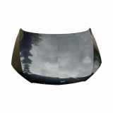 Motorhaube SEAT TOLEDO IV (KG3) 1.6 TDI 6JA823155A
