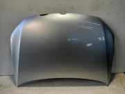 Motorhaube VW POLO (6R, 6C) 1.2 TDI