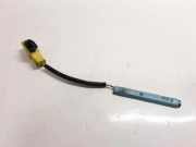 Reifendrucksensor PEUGEOT 407 Coupe (6C_) 2.7 HDi 9647613580