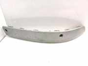 Stoßstangenzierleiste vorne rechts RENAULT ESPACE IV (JK0/1_) 2.0 dCi (JK03, JK04) G000152008 0045525