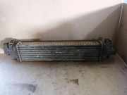 Ladeluftkühler Ford Focus II Turnier (DA, DS, FFS) 1569650
