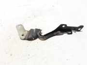 Motorhaubenscharnier links Renault Clio III (BR0/1, CR0/1) 8200719033